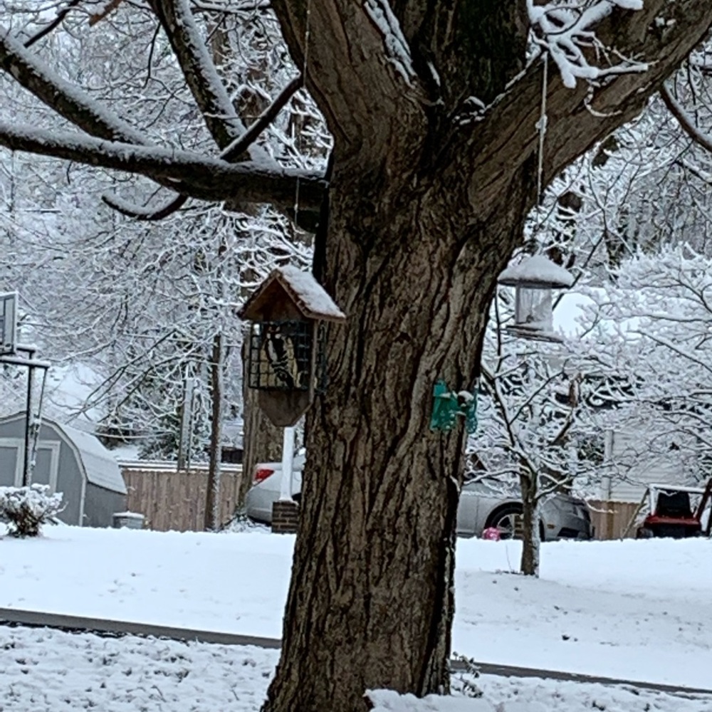 Meet your Posher, Joe